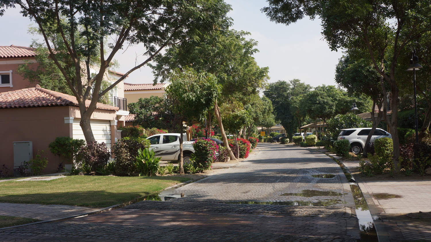 Excess Irrigation in a Dubai housing area